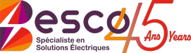 Logo de Besco avec 45 Ans